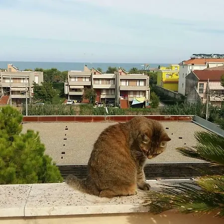 Lägenhet Attico Affacciato Sul Mare Con Ampia Terrazza *